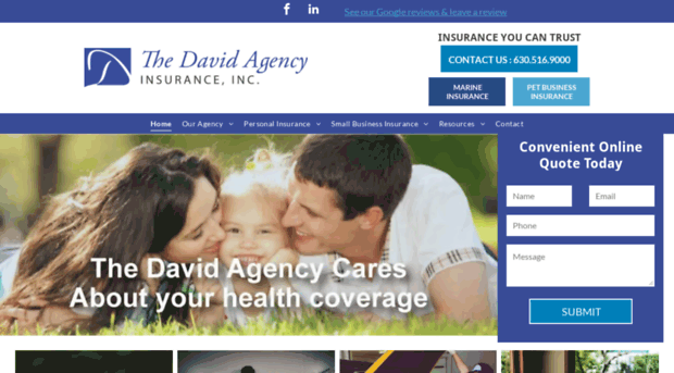 thedavidagency.com