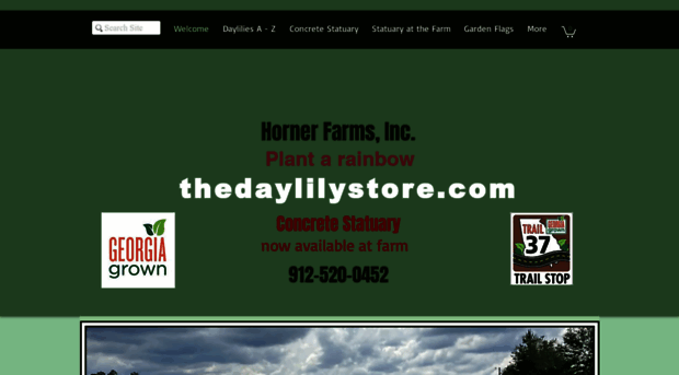 thedaylilystore.com