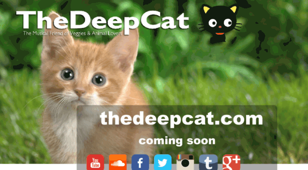 thedeepcat.com