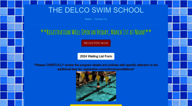 thedelcoswimschool.com