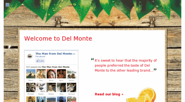 thedelmonteblog.com