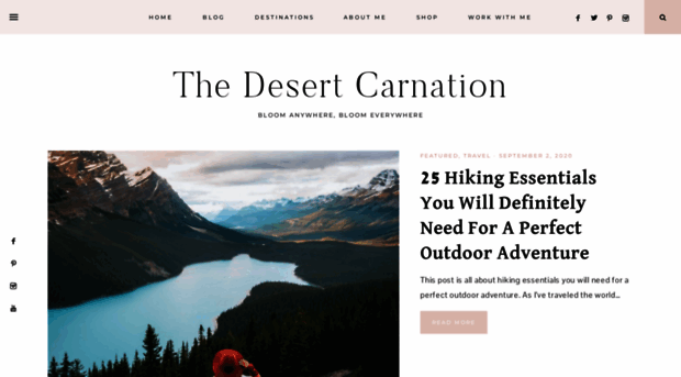 thedesertcarnation.com