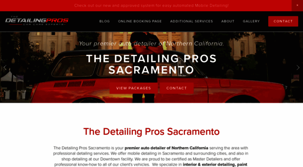 thedetailingprossac.com