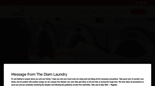 thediamlaundry.com