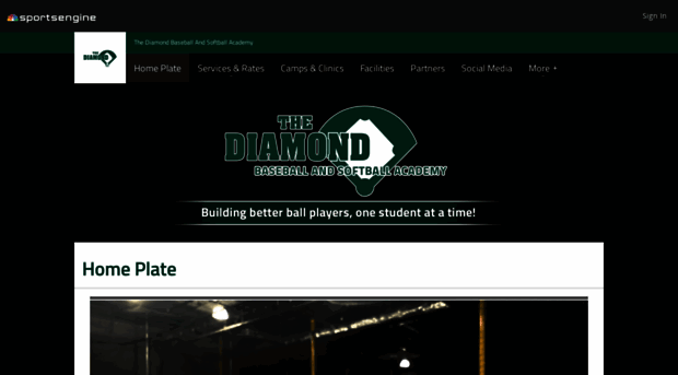 thediamondbaseball.com