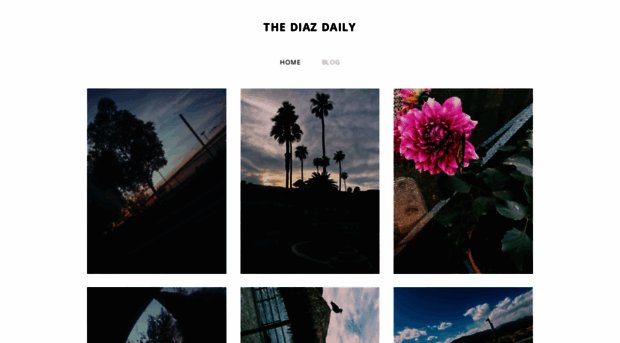 thediazdaily.weebly.com