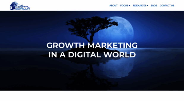 thedigitalgorilla.com
