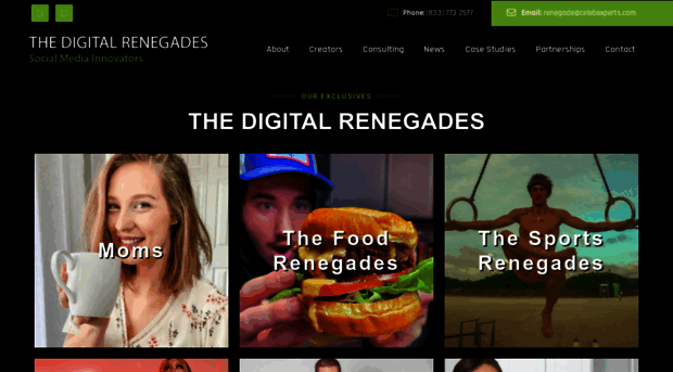 thedigitalrenegades.com