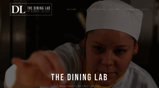 thedininglab.com