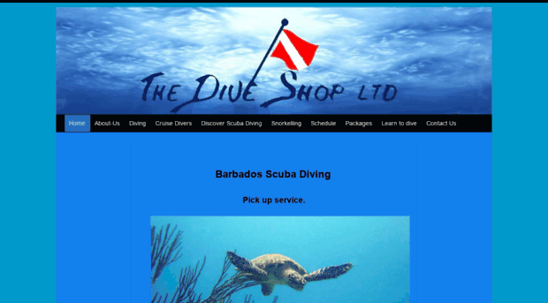 thediveshopbarbados.com