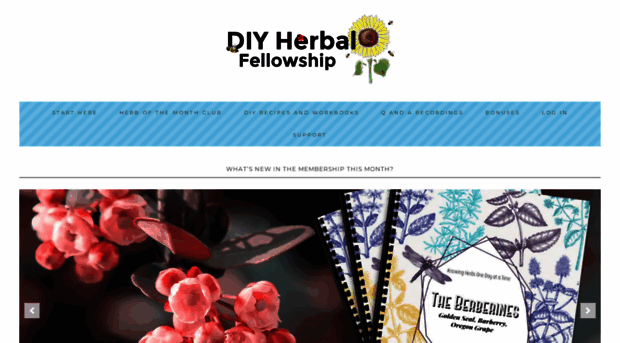 thediyherbal.com