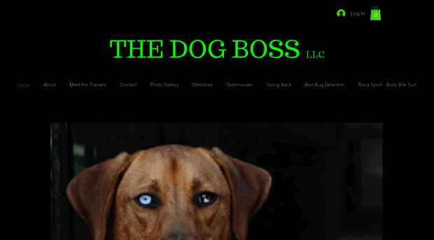 thedogboss.net