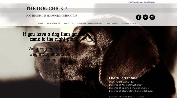 thedogchick.com