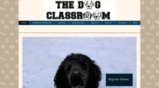 thedogclassroom.com