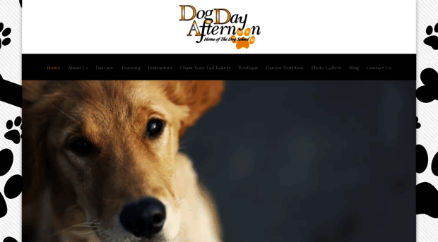 thedogdayafternoon.com