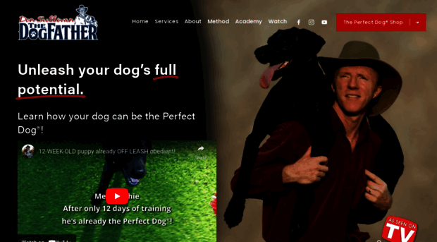 thedogfather.com