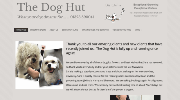 thedoghut.biz