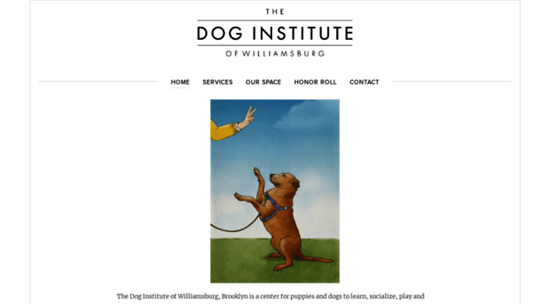 thedoginstitute.com