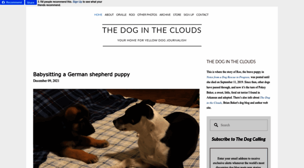 thedogintheclouds.com