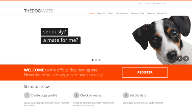 find mate for dog