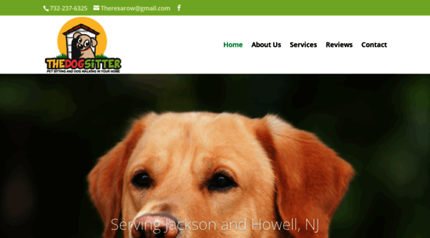 thedogsitternj.com