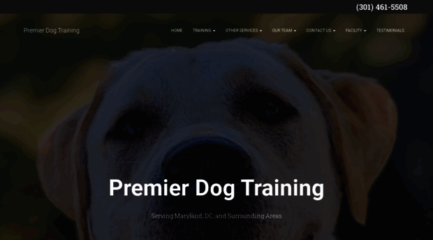 thedogtrainingpro.com