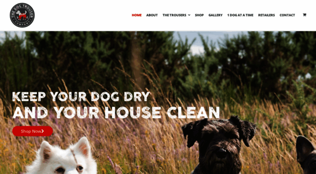 thedogtrousercompany.com