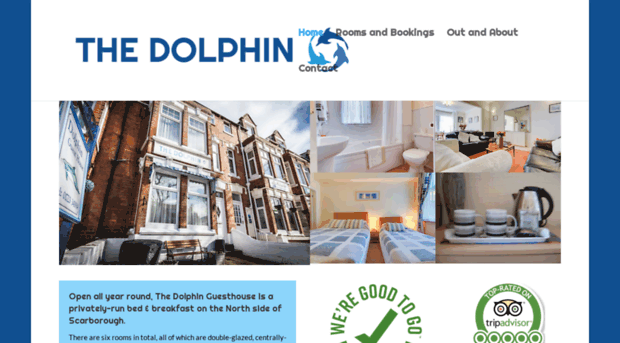 thedolphin.info