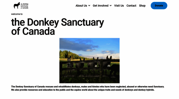 thedonkeysanctuary.ca