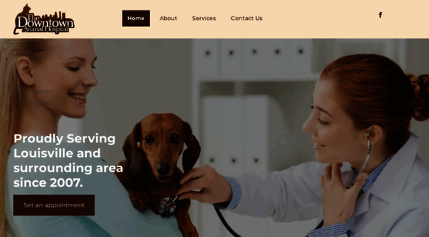 thedowntownanimalhospital.com