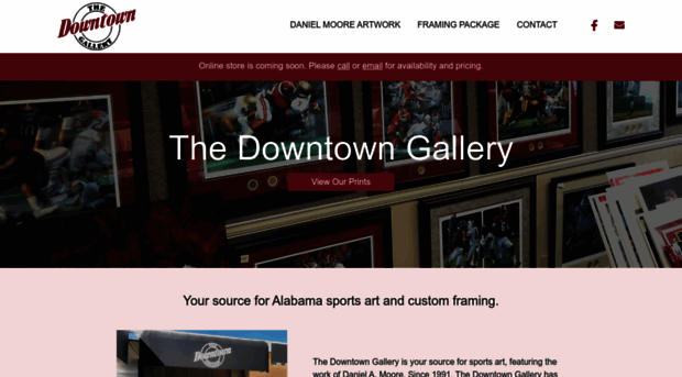 thedowntowngallery.com