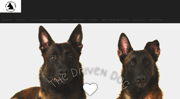 thedrivendog.com