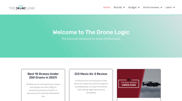 thedronelogic.com