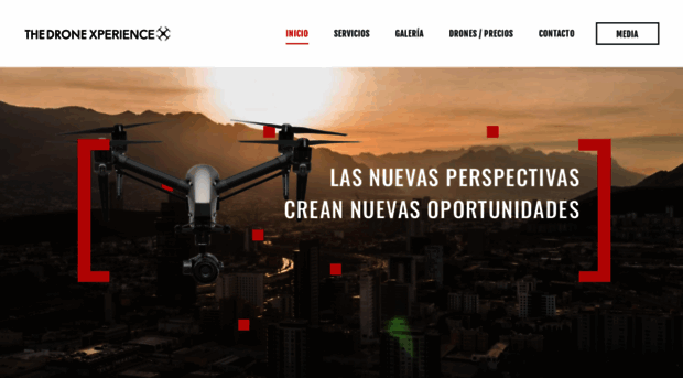 thedronexperience.com