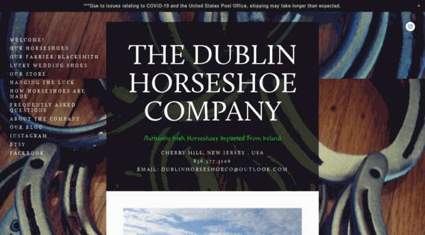 thedublinhorseshoeco.com