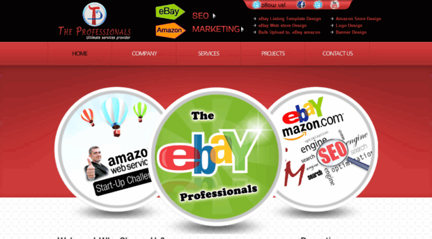 theebayprofessionals.com