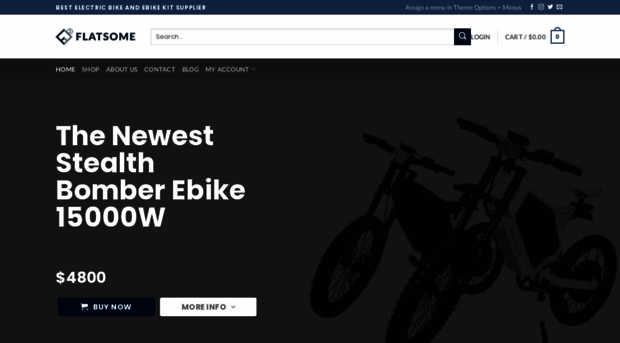 theebikemotor.com