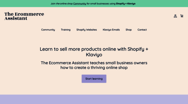 theecommerceassistant.com