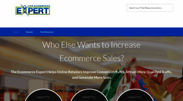 theecommerceexpert.com