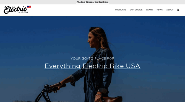 theelectricbike.com