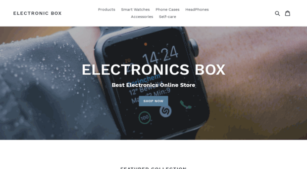 theelectronicsbox.com