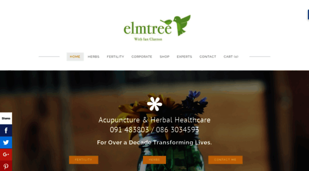 theelmtreeclinic.com