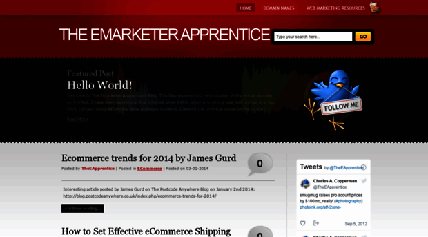 theemarketerapprentice.com