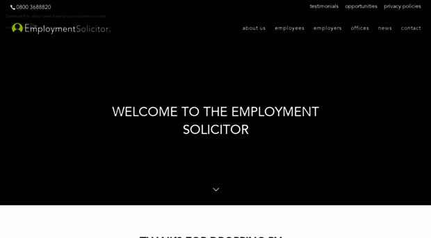 theemploymentsolicitor.com