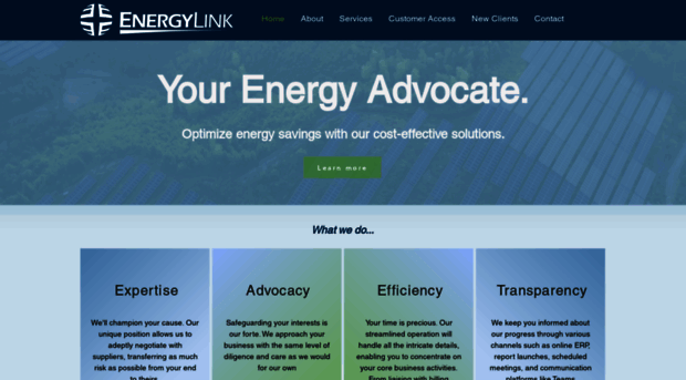 theenergylink.com