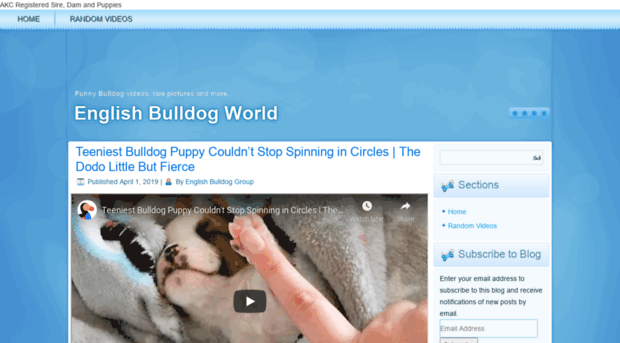 theenglishbulldogs.com