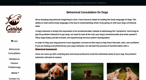 theevolveddog.com