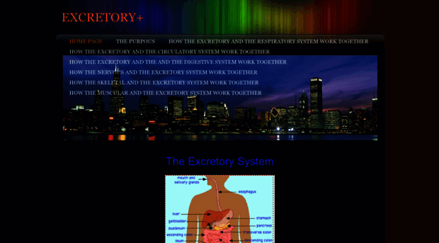 theexcretorsystem.weebly.com