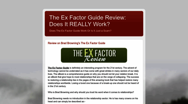 theexfactorguidereview.blogspot.com