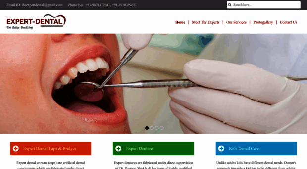 theexpertdental.com